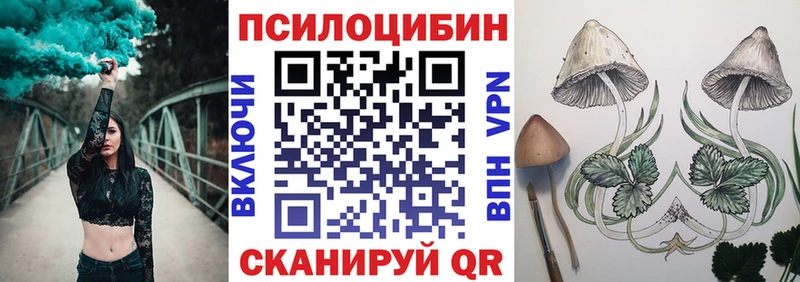 Галлюциногенные грибы Magic Shrooms купить закладку Пугачёв